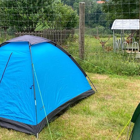 Camping f Selbstversorger Gut Jägerhof Semriach Eksteriør billede